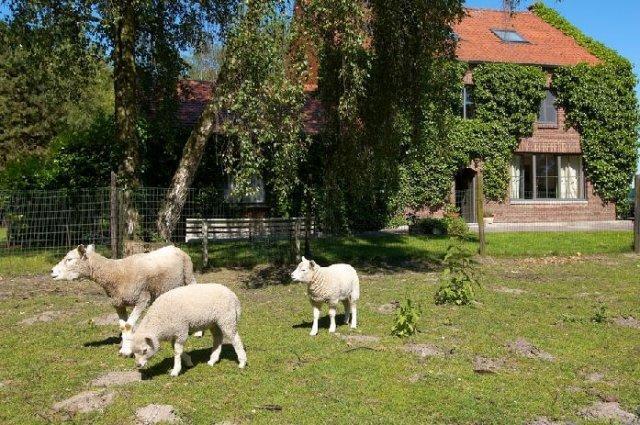 B&B De Passerel Bree Buitenkant foto