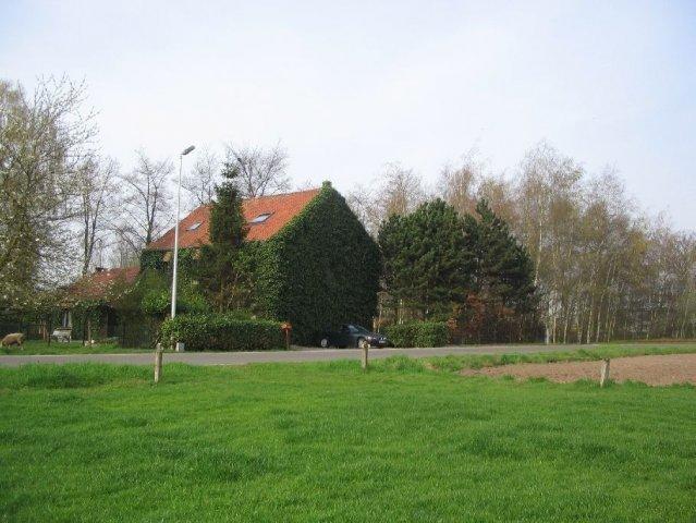 B&B De Passerel Bree Buitenkant foto